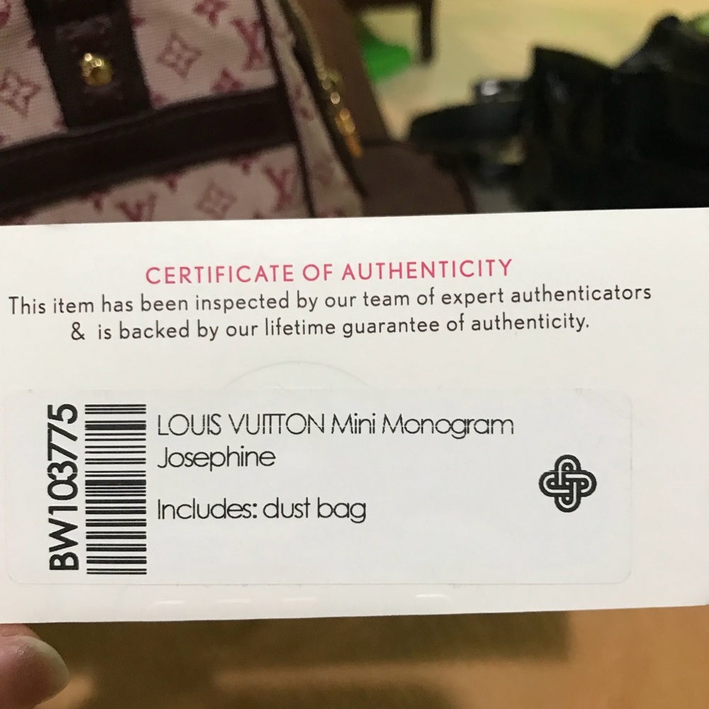 Louis Vuitton Josephine purse